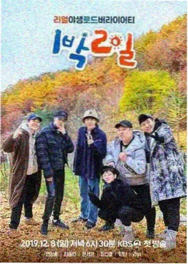 城市漫游记 综艺免费观看