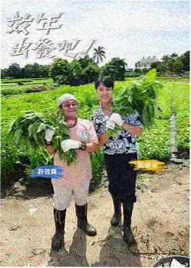 推理之夜 综艺免费观看